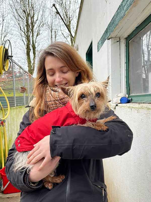 FELINE CHIEN YORK FEMMELLE  DE 13 ANS A ADOPTER AU REFUGE SOS ANIMAUX 78 AU CHESNAY ROCQUENCOURT PRES DE VERSAILLES A L ADOPTION PETIT CHIEN